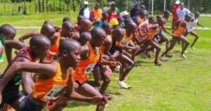 Junior runners competing in a cross country race at Kericho County, wearing colorful school athletics kits, sprinting through grassy terrain during the championships.