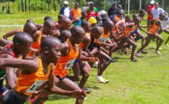 Junior runners competing in a cross country race at Kericho County, wearing colorful school athletics kits, sprinting through grassy terrain during the championships.